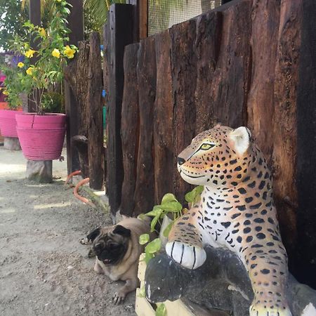 Hotel Hacienda La Catrina Isla Holbox Dış mekan fotoğraf