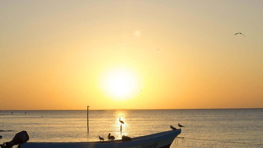 Hotel Hacienda La Catrina Isla Holbox Dış mekan fotoğraf