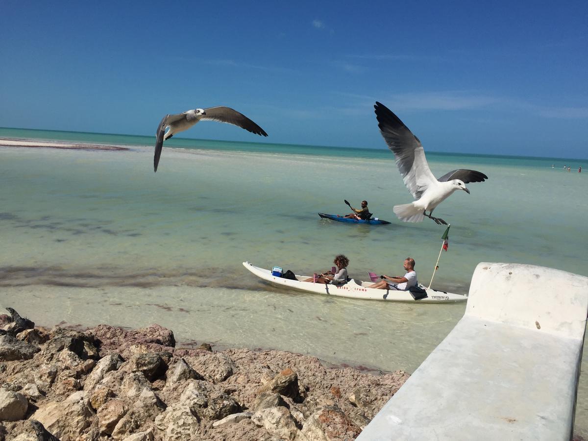 Hotel Hacienda La Catrina Isla Holbox Dış mekan fotoğraf