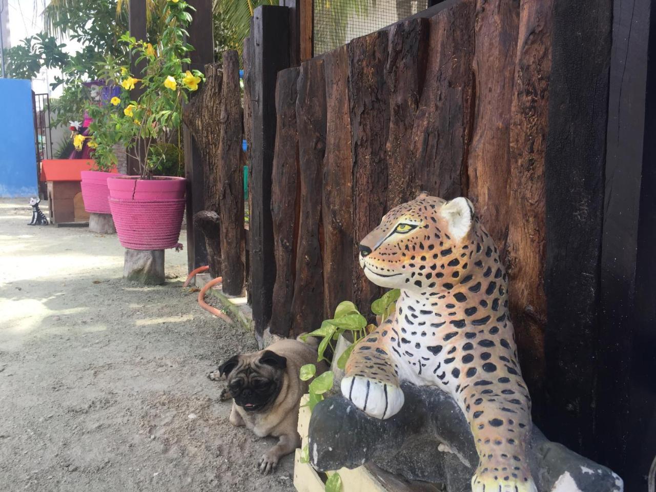 Hotel Hacienda La Catrina Isla Holbox Dış mekan fotoğraf