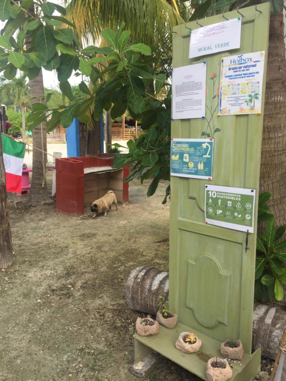 Hotel Hacienda La Catrina Isla Holbox Dış mekan fotoğraf